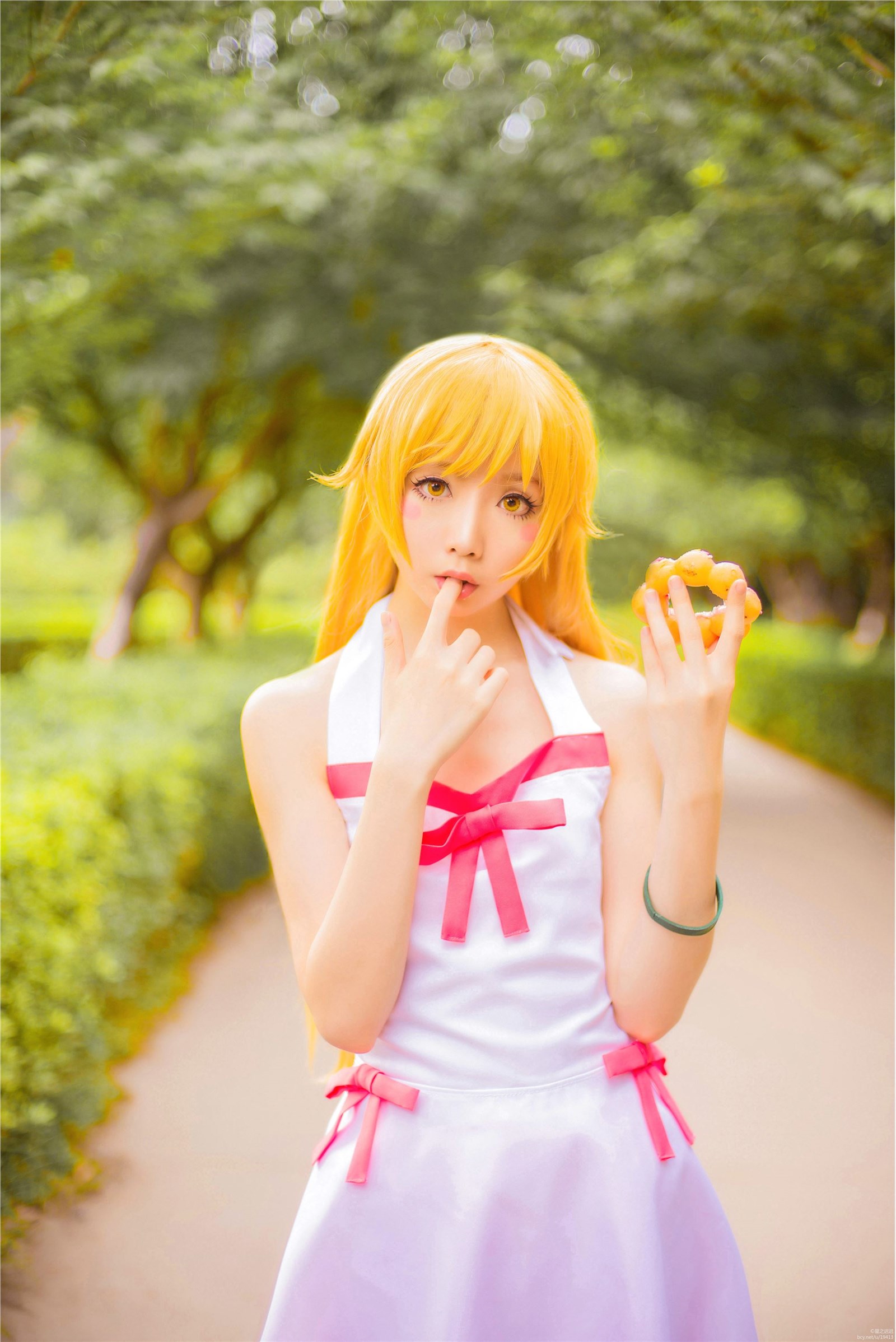 Star's Delay to December 22, Coser Hoshilly BCY Collection 9(120)